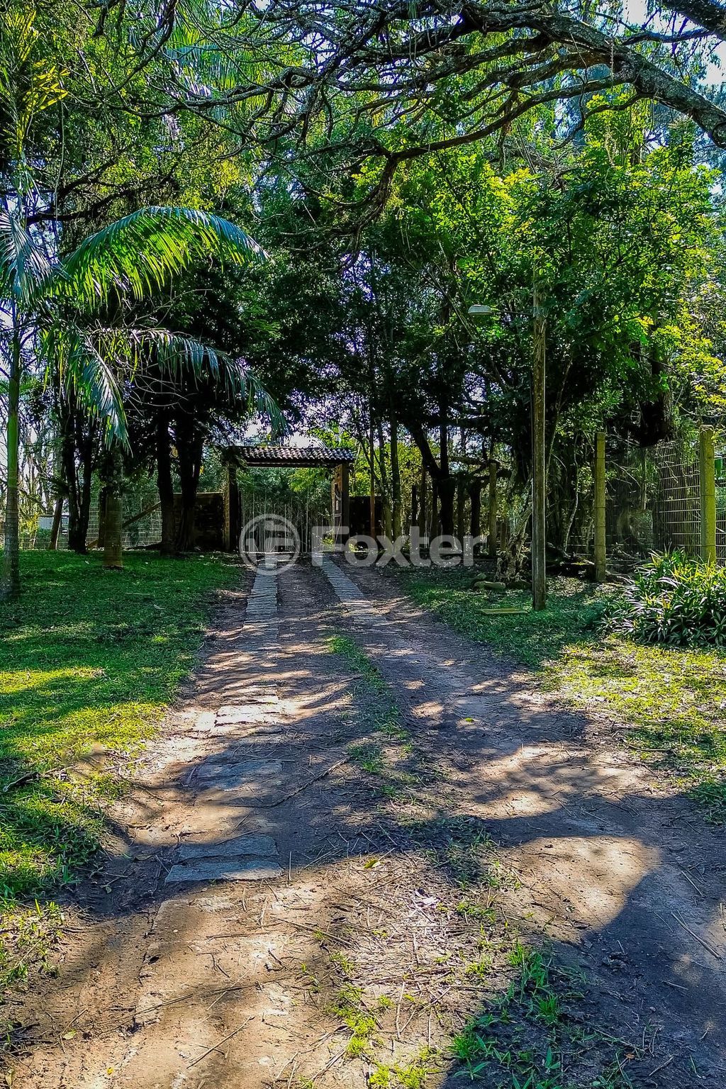 sitio chachara fazenda para comprar em da Estancia Grande, 1001 - foto 59