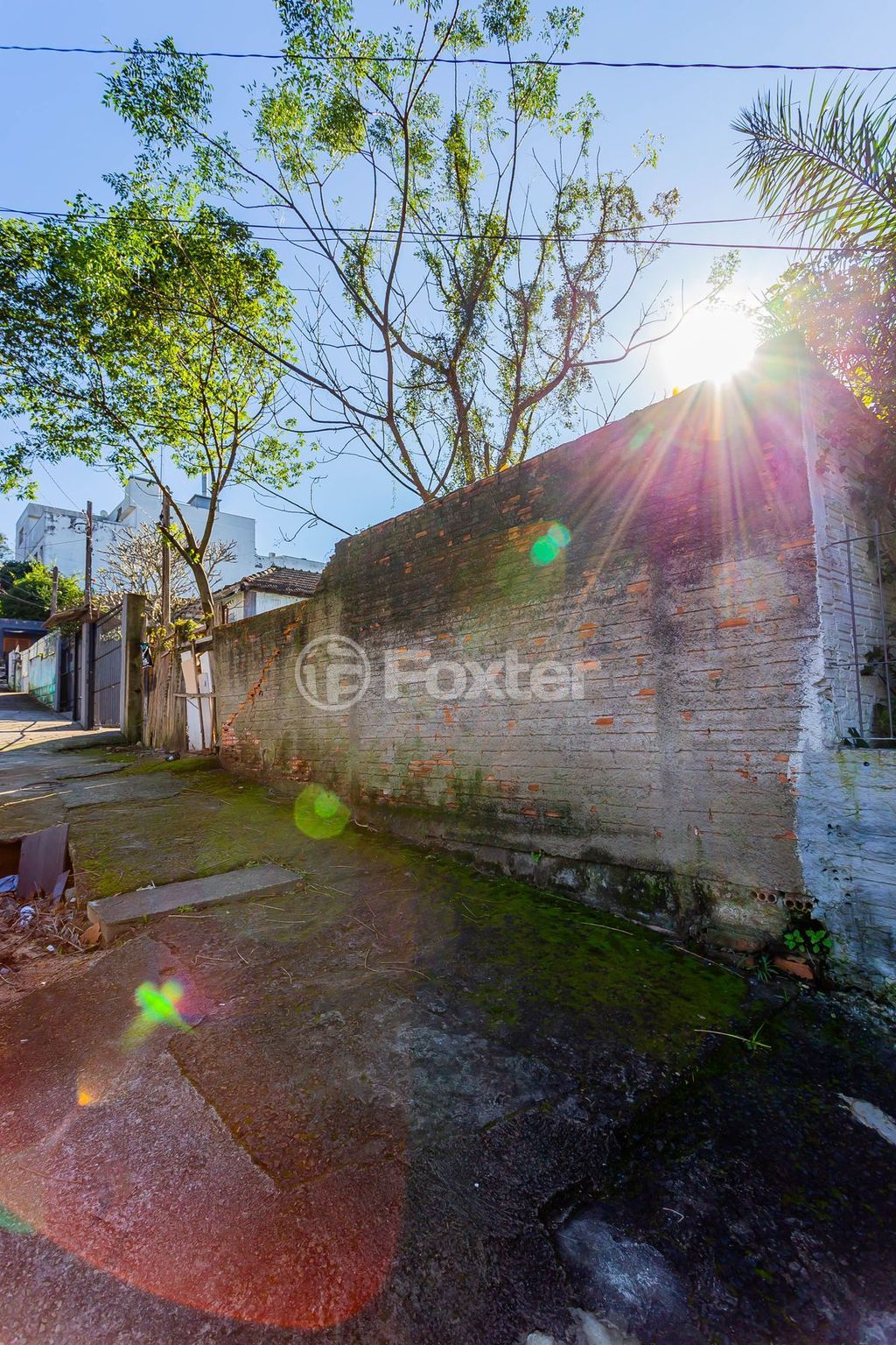 terreno lote condominio para comprar em Mariano de Matos, 786 - foto 7