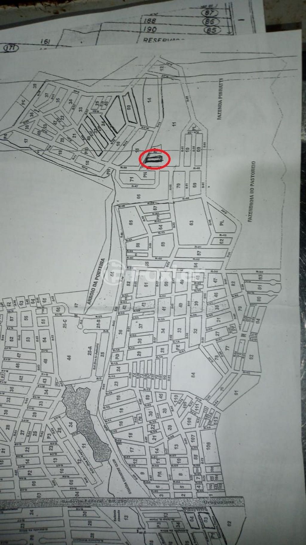 Foto 4