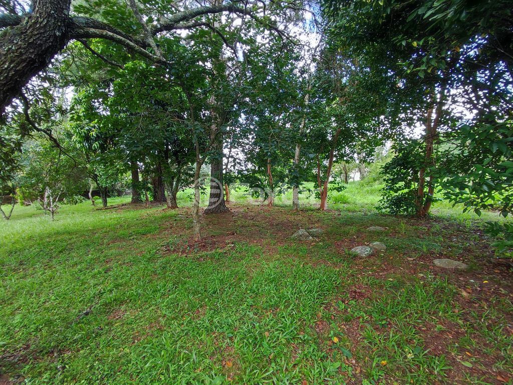 terreno lote condominio para comprar em Jacinto Gomes, 470 - foto 7