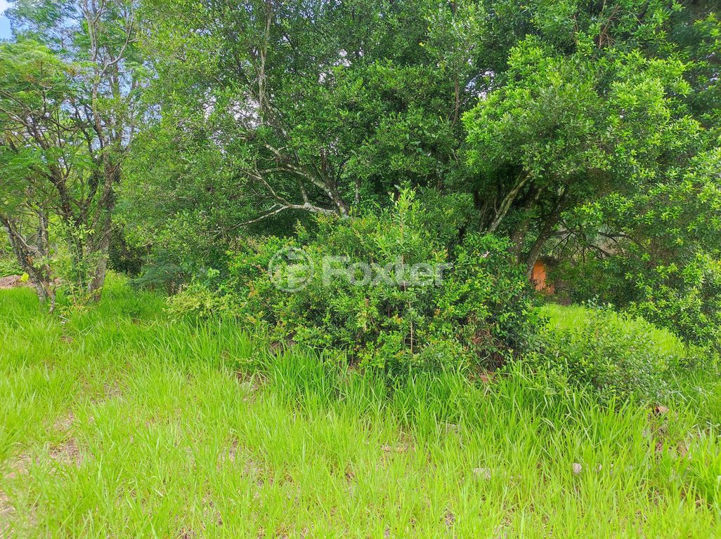 terreno lote condominio para comprar em Jacinto Gomes, 470 - foto 10