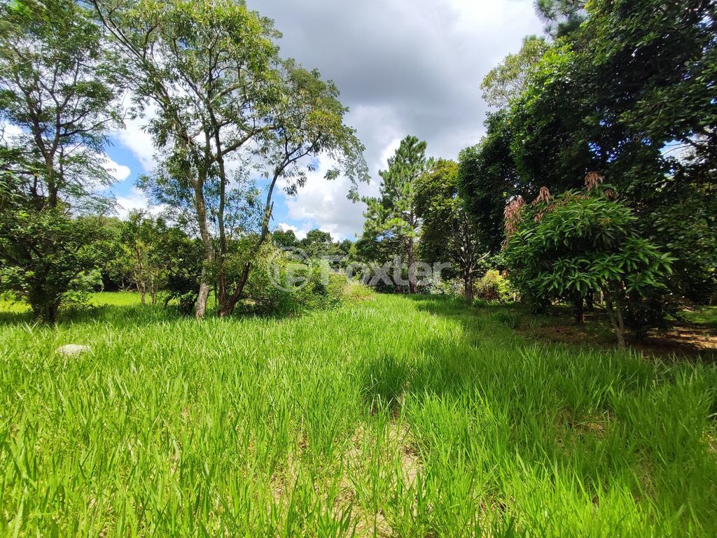 terreno lote condominio para comprar em Jacinto Gomes, 470 - foto 9