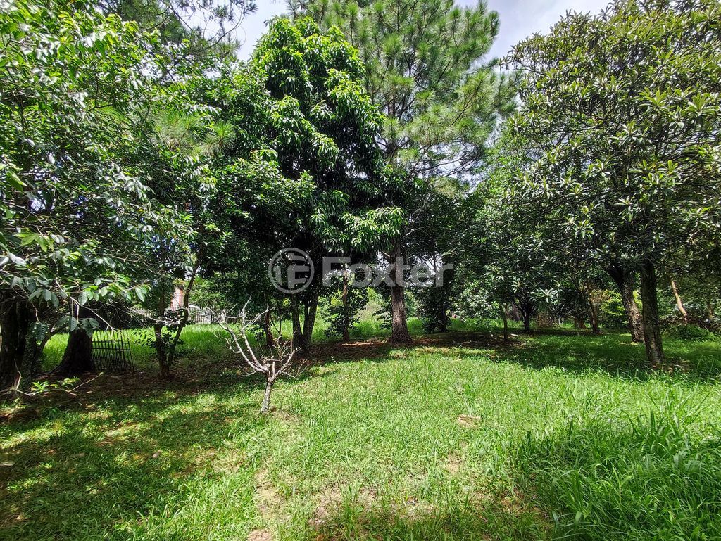 terreno lote condominio para comprar em Jacinto Gomes, 470 - foto 8