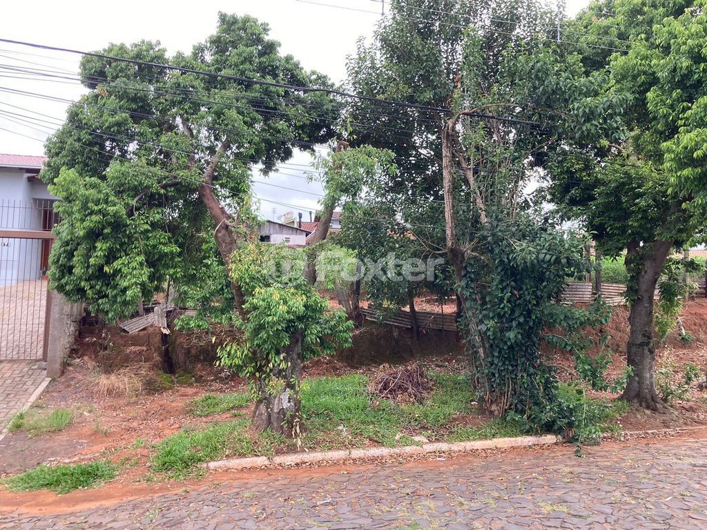 terreno lote condominio para comprar em Abissínia, 145/155 - foto 7