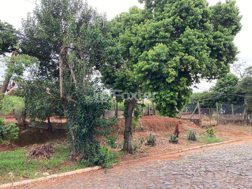 terreno lote condominio para comprar em Abissínia, 145/155 - foto 6