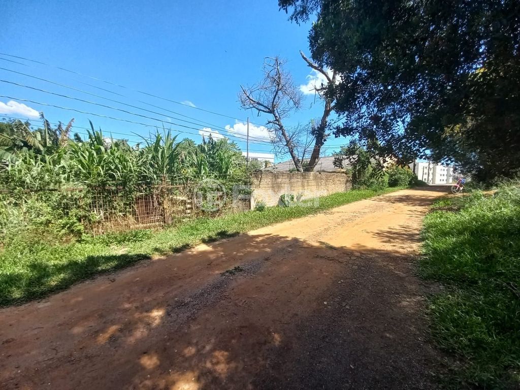 terreno lote condominio para comprar em Antônio Batista, 1287 - foto 8