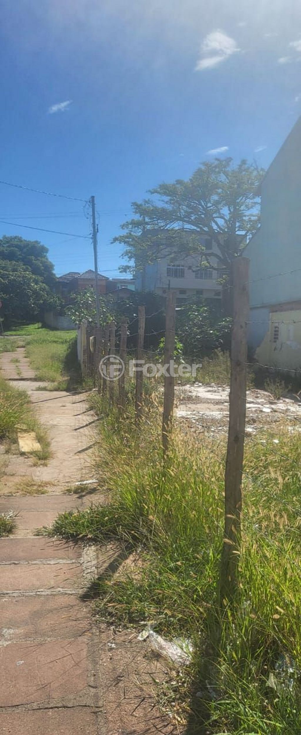 Foto do Anuncio