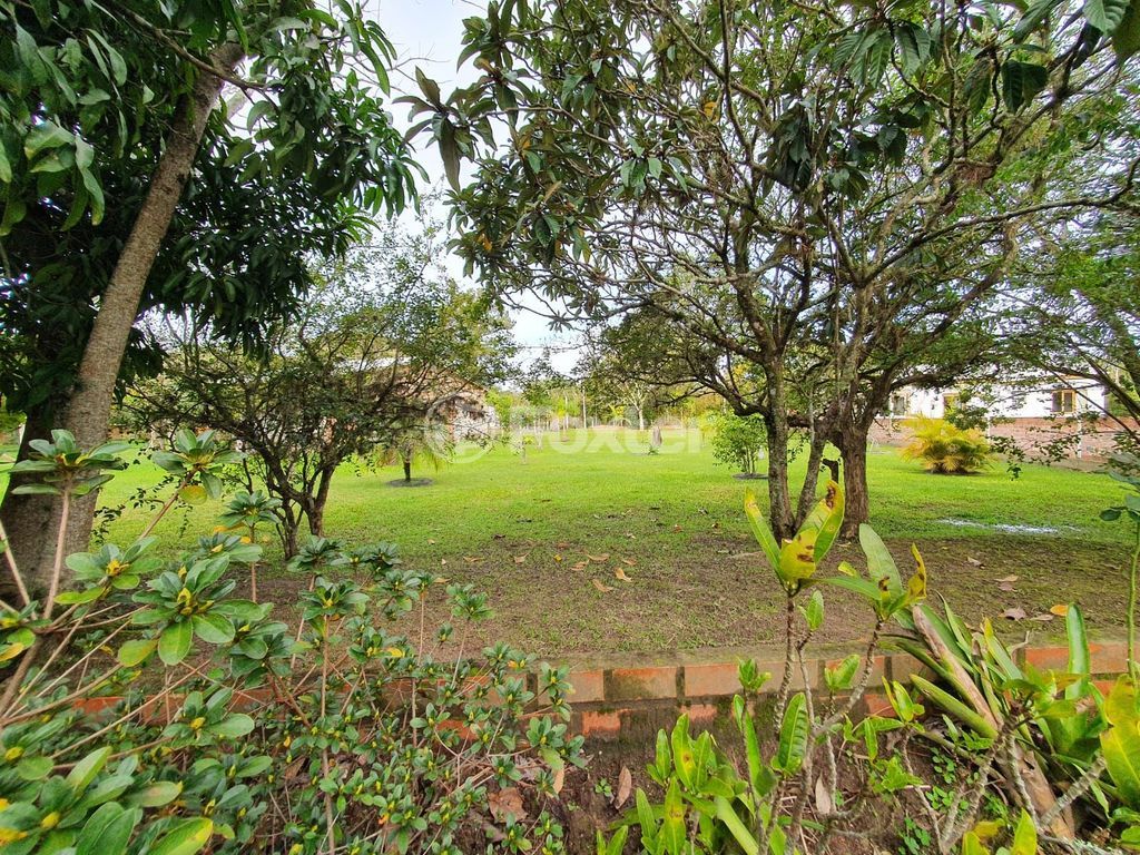 sitio chachara fazenda para comprar em dos Araçás, 194 - foto 13