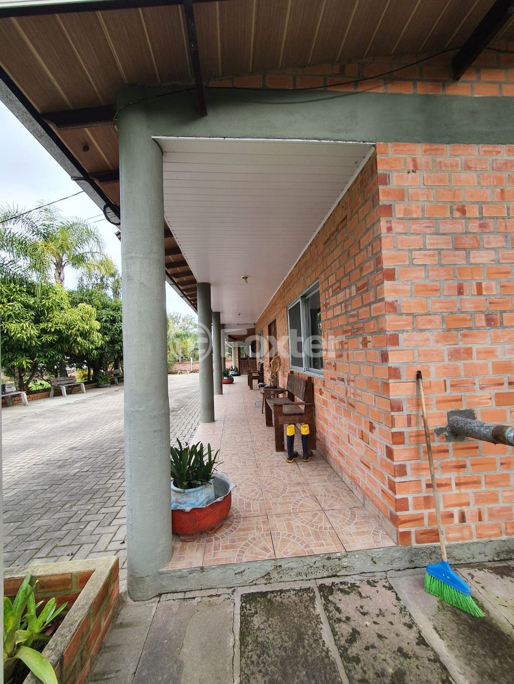 sitio chachara fazenda para comprar em dos Araçás, 194 - foto 8