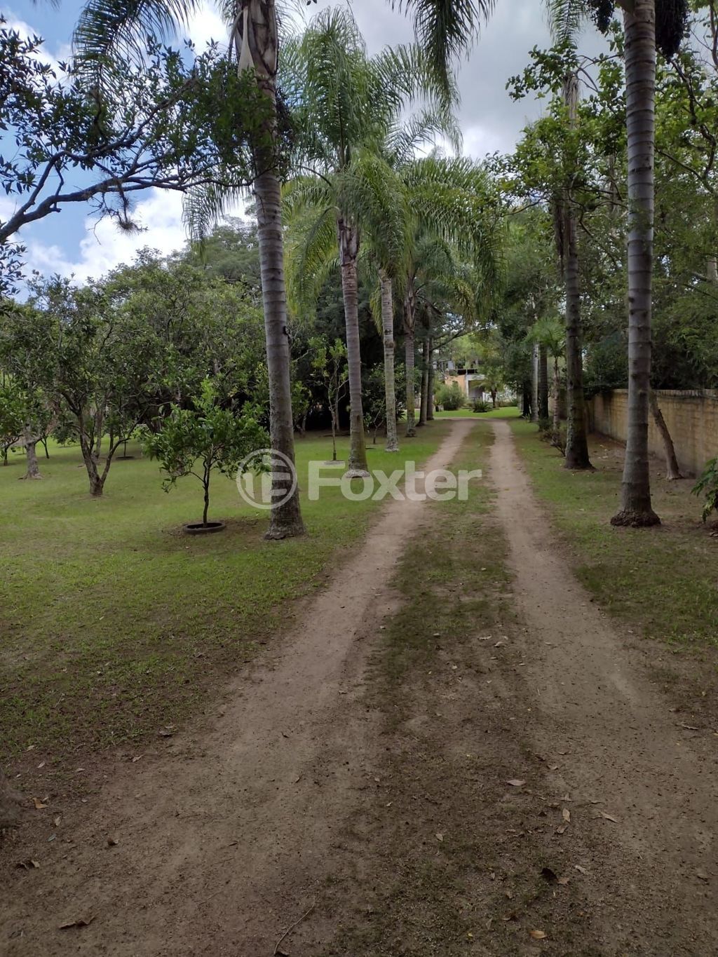 sitio chachara fazenda para comprar em dos Araçás, 194 - foto 66
