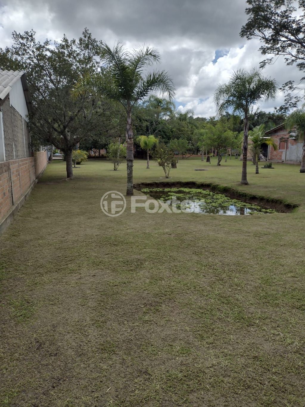 sitio chachara fazenda para comprar em dos Araçás, 194 - foto 65