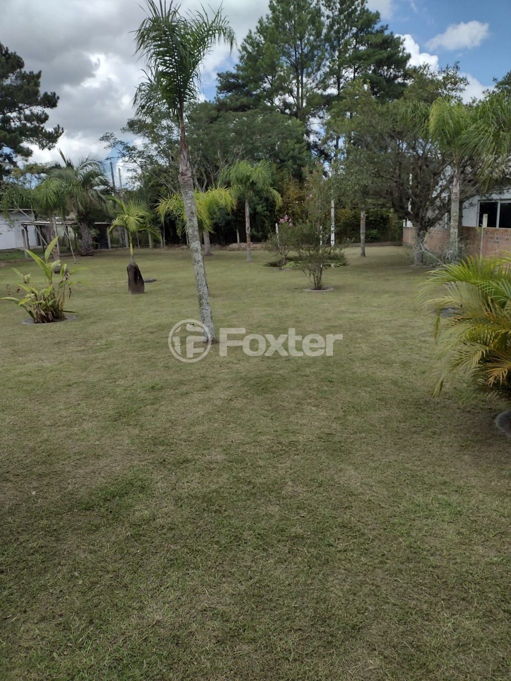 sitio chachara fazenda para comprar em dos Araçás, 194 - foto 64