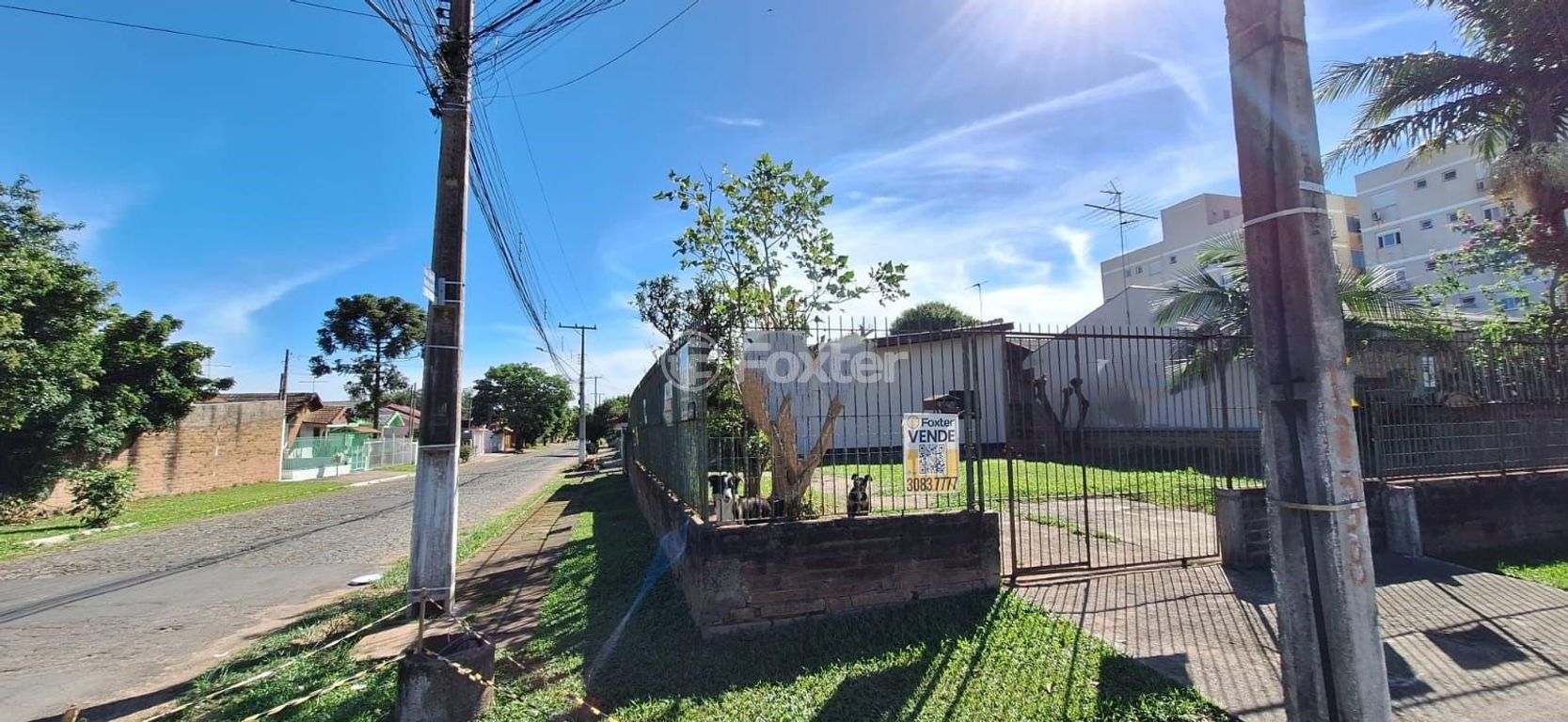 casa sobrado para comprar em Jaime Biz, 245 - foto 21