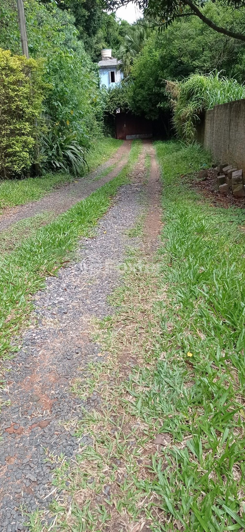 terreno lote condominio para comprar em José Alves de Castro, 64 - foto 6