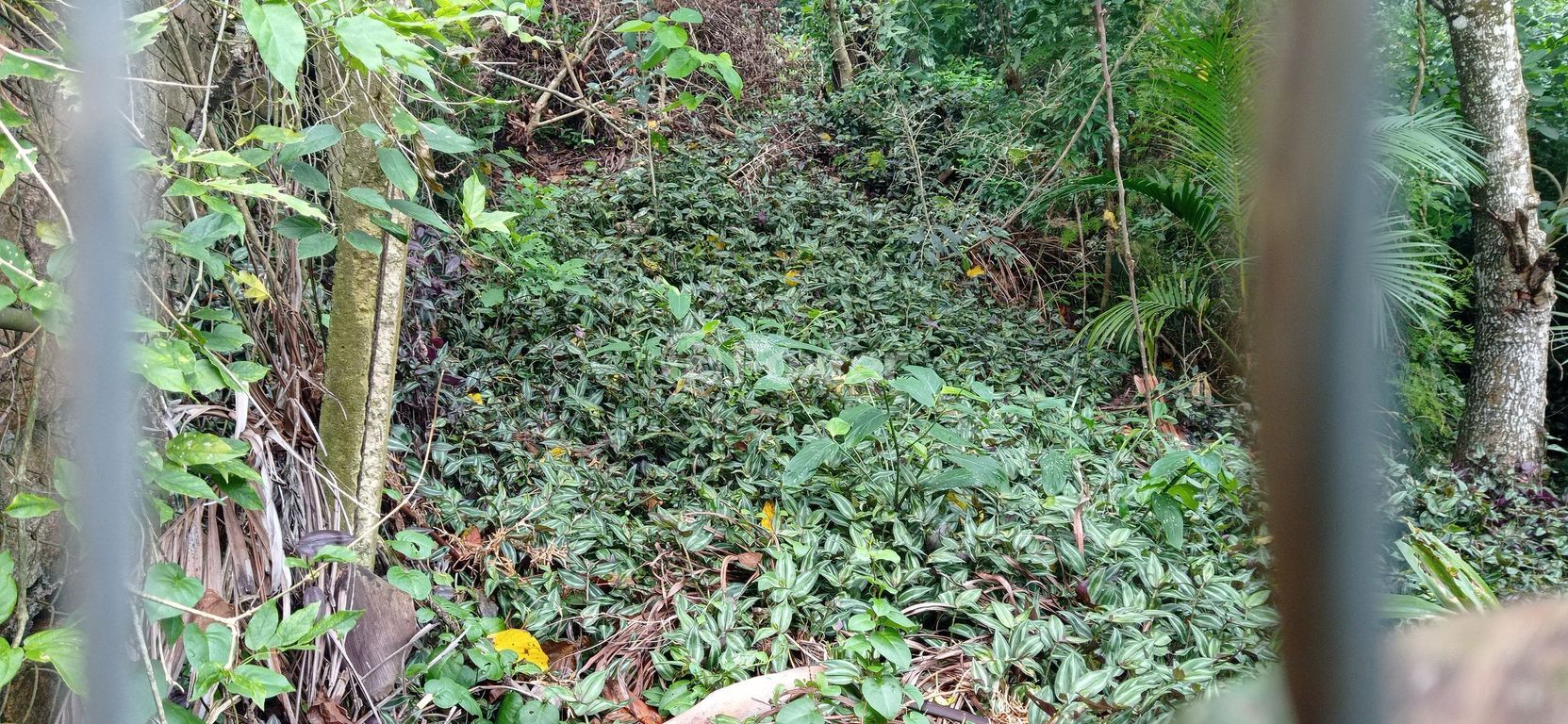 terreno lote condominio para comprar em José Alves de Castro, 64 - foto 7