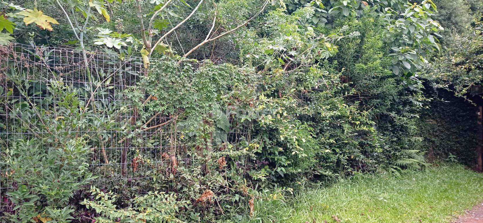 terreno lote condominio para comprar em José Alves de Castro, 64 - foto 9