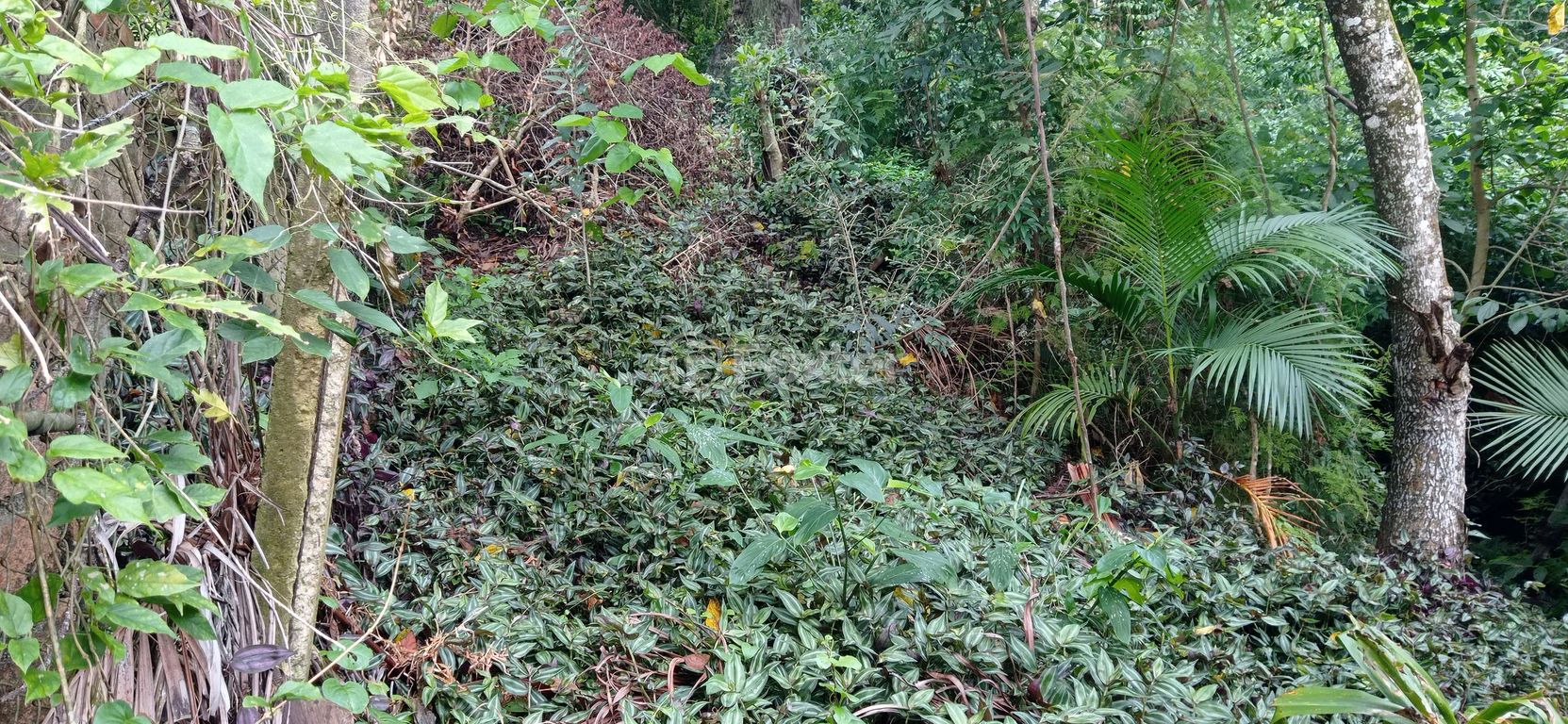 Foto 0