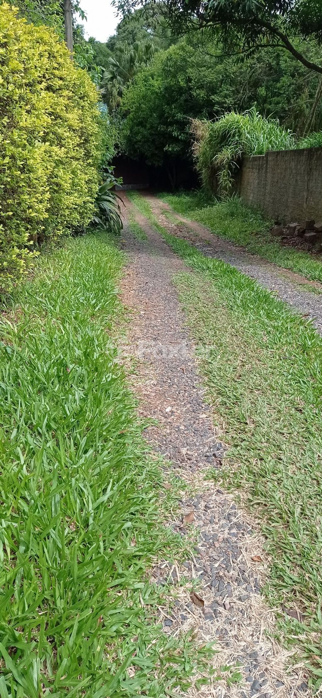 terreno lote condominio para comprar em José Alves de Castro, 487 - foto 6