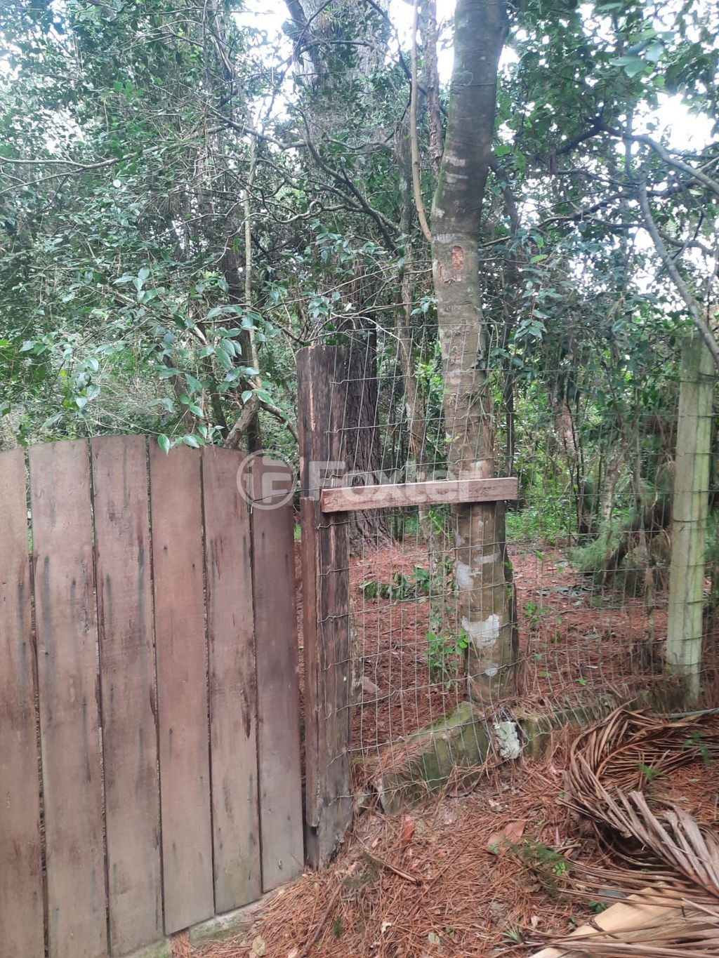 Foto 0