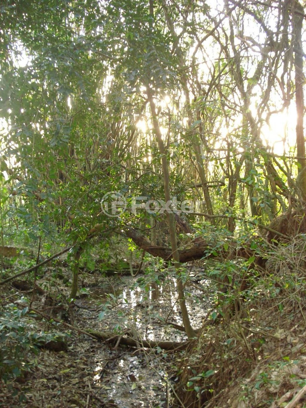 terreno lote condominio para comprar em Amapá, 1704 - foto 8