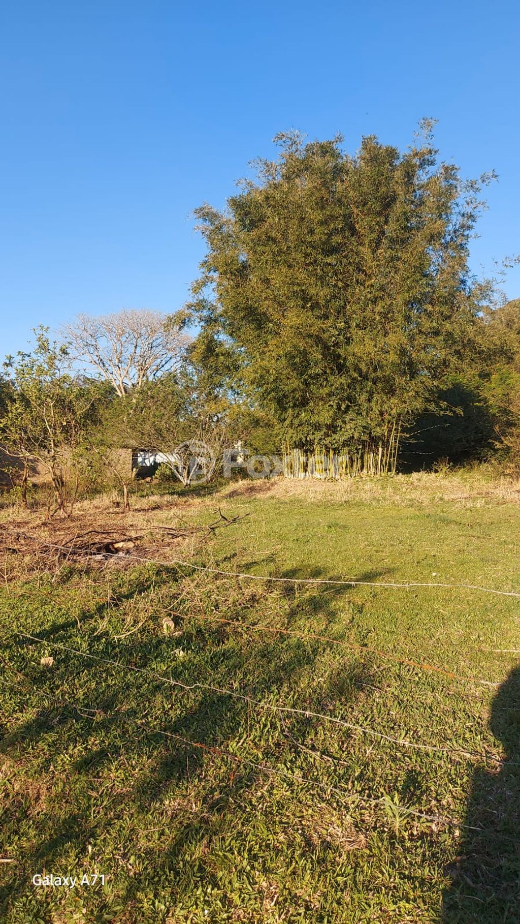 terreno lote condominio para comprar em Lami, Porto Alegre - foto 1