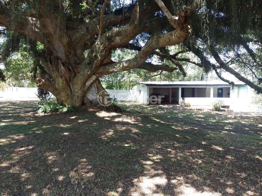 sitio chachara fazenda para comprar em Frederico Dihl, 6007 - foto 9