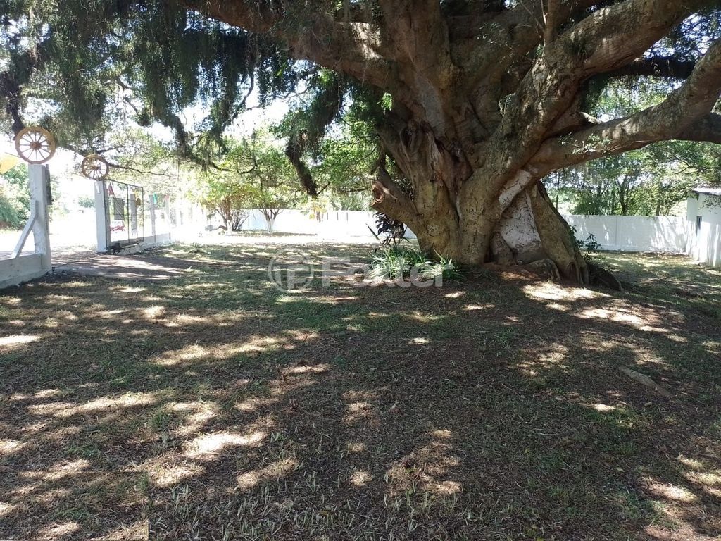 sitio chachara fazenda para comprar em Frederico Dihl, 6007 - foto 7