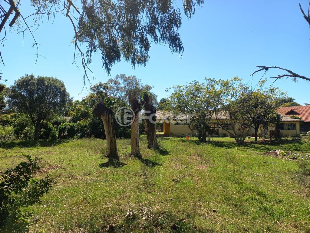 sitio chachara fazenda para comprar em Elaine Souza Rosa, 160 - foto 14