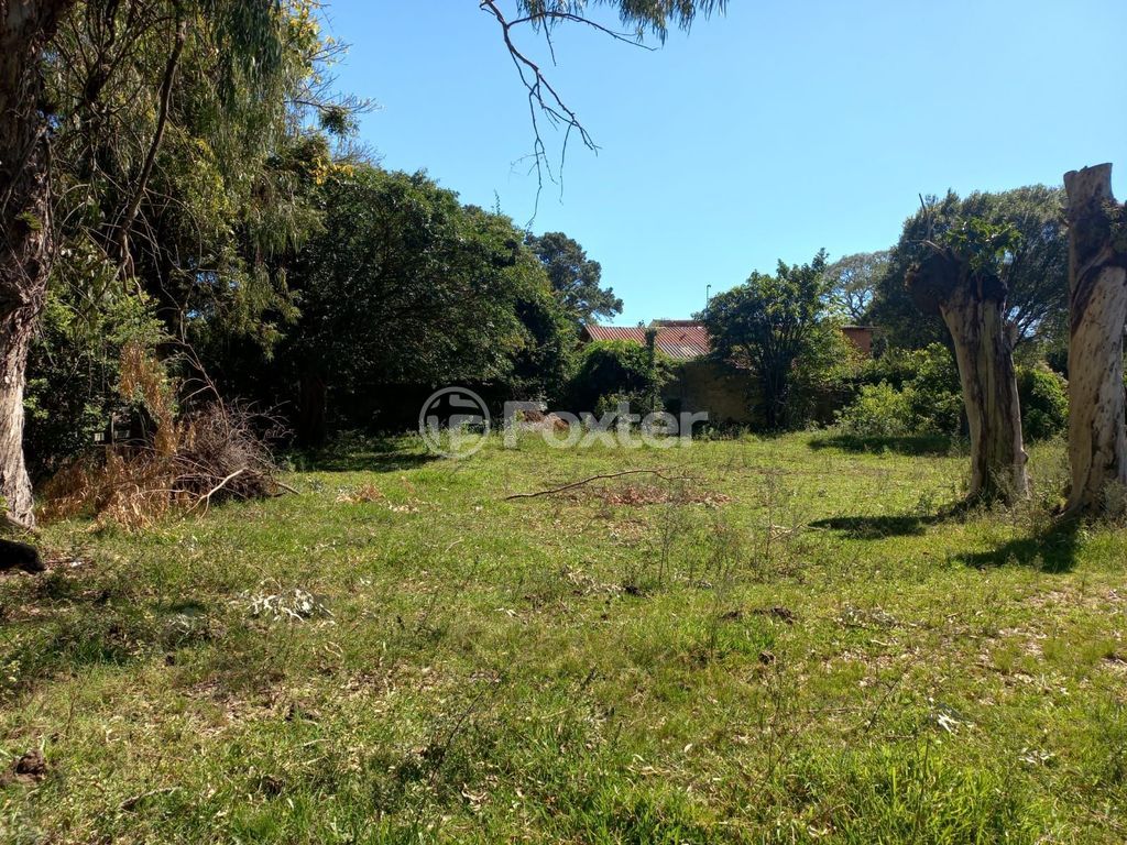 sitio chachara fazenda para comprar em Elaine Souza Rosa, 160 - foto 12