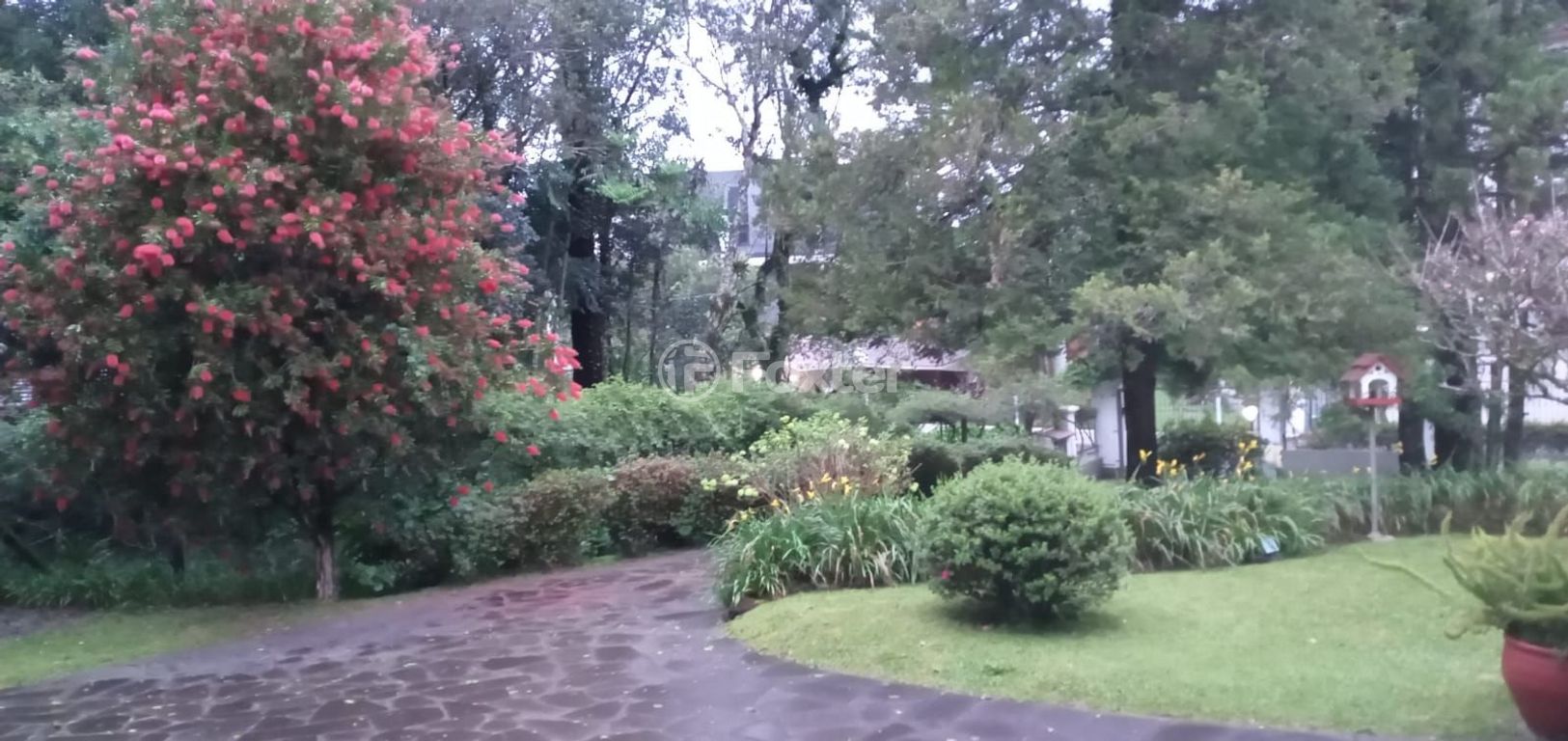 Foto 0