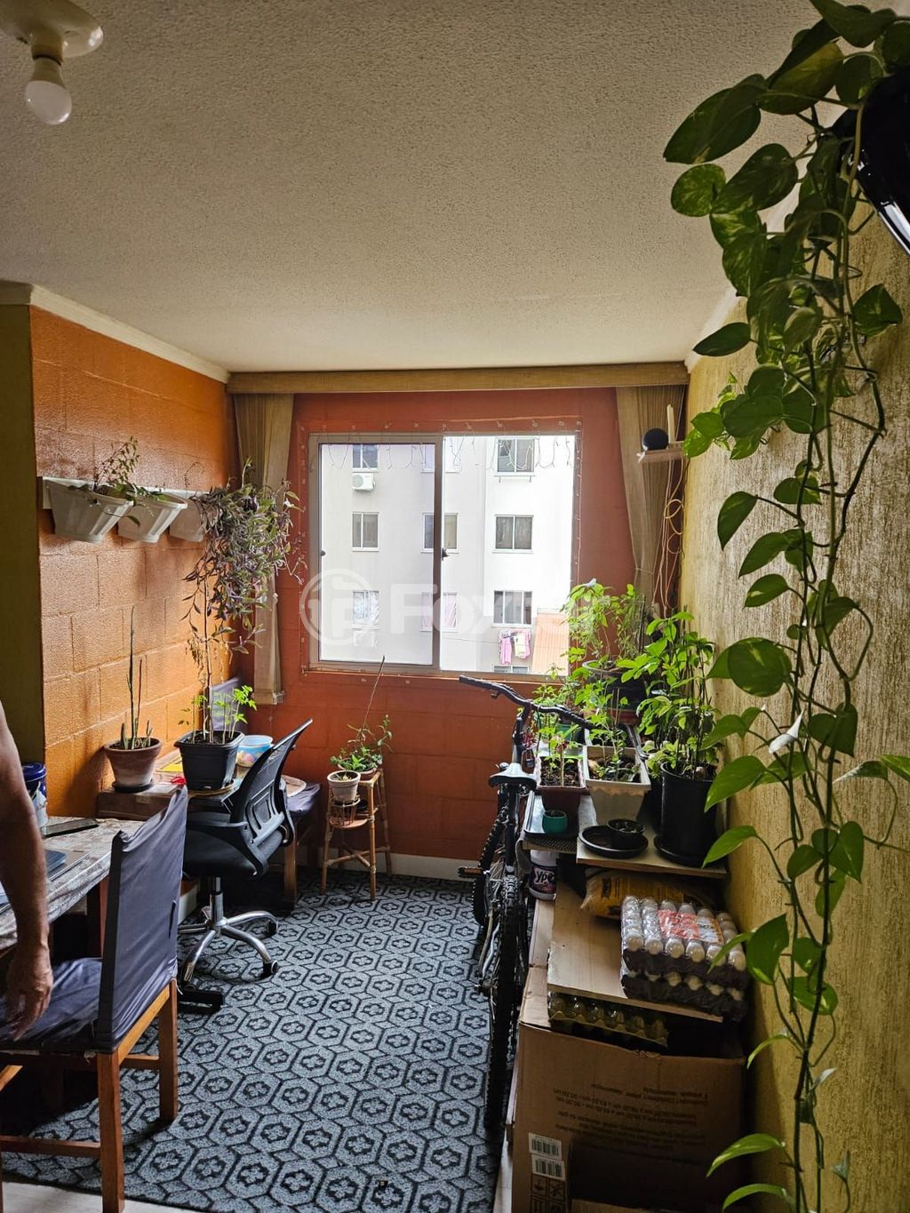 Foto 3