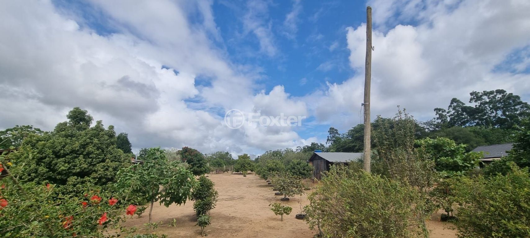 sitio chachara fazenda para comprar em das Lombas, S/N - foto 13