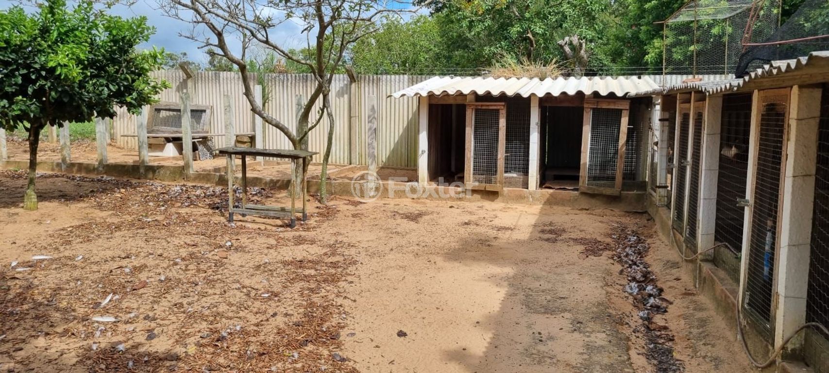 sitio chachara fazenda para comprar em das Lombas, S/N - foto 8