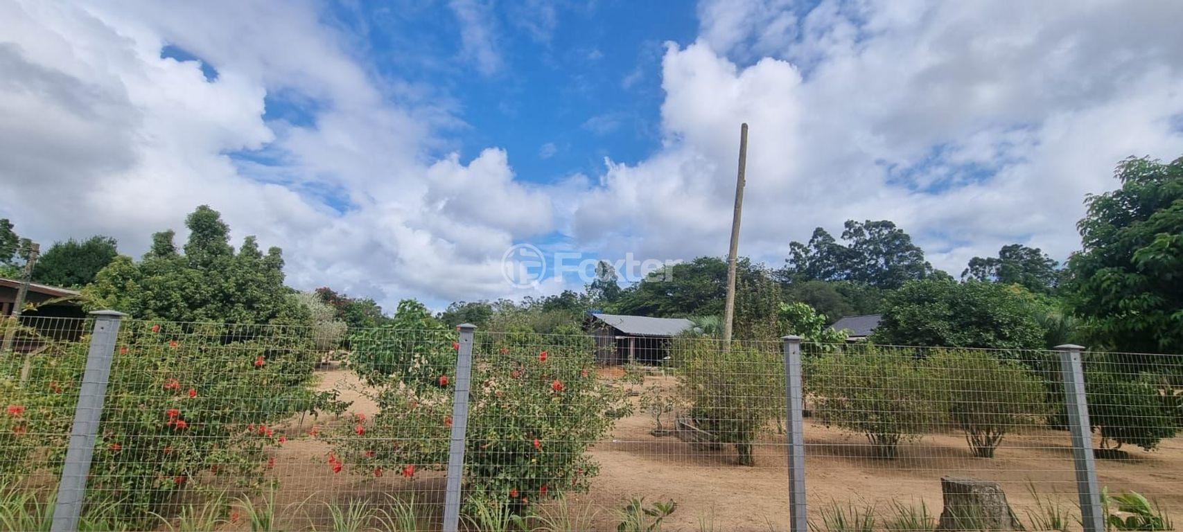 sitio chachara fazenda para comprar em das Lombas, S/N - foto 12