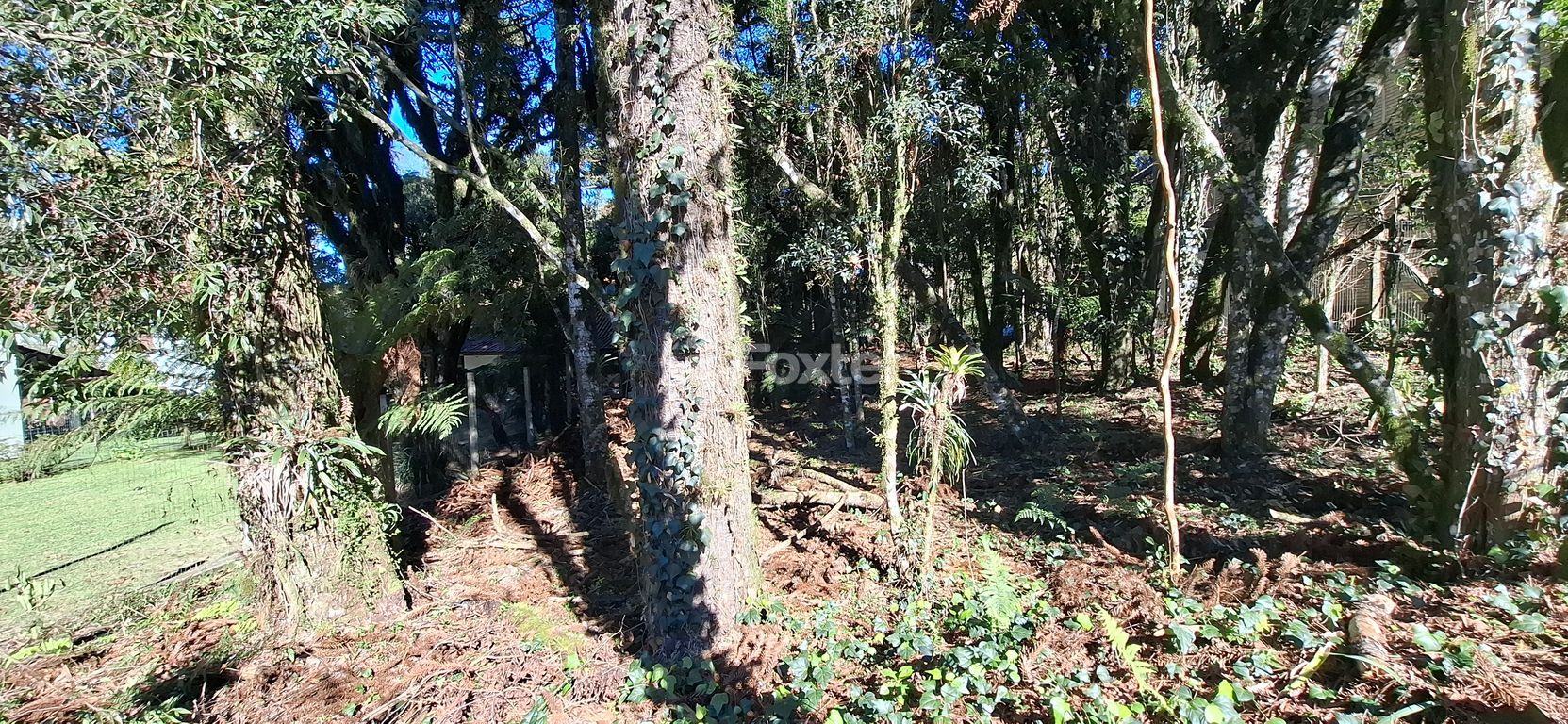 terreno lote condominio para comprar em Irmão Albino Bruneto, s/n - foto 18