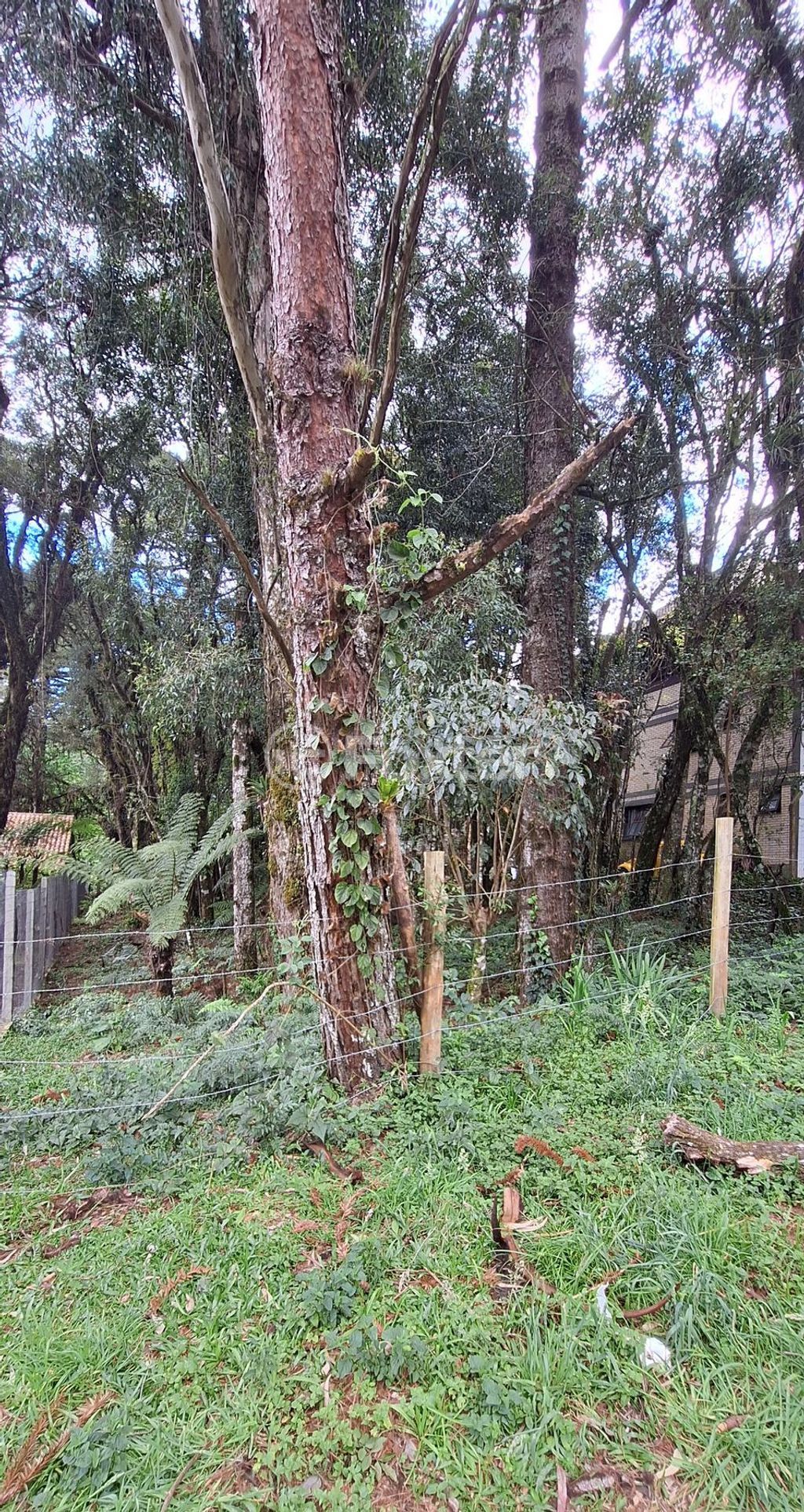terreno lote condominio para comprar em Irmão Albino Bruneto, s/n - foto 9