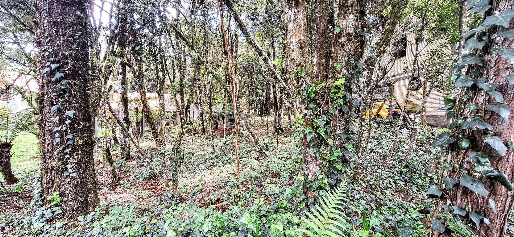 terreno lote condominio para comprar em Irmão Albino Bruneto, s/n - foto 10