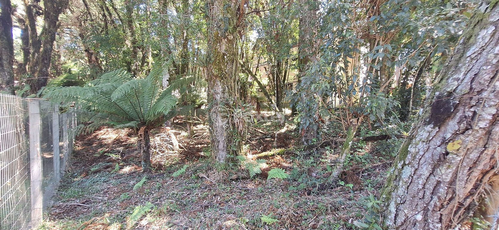 terreno lote condominio para comprar em Irmão Albino Bruneto, s/n - foto 14