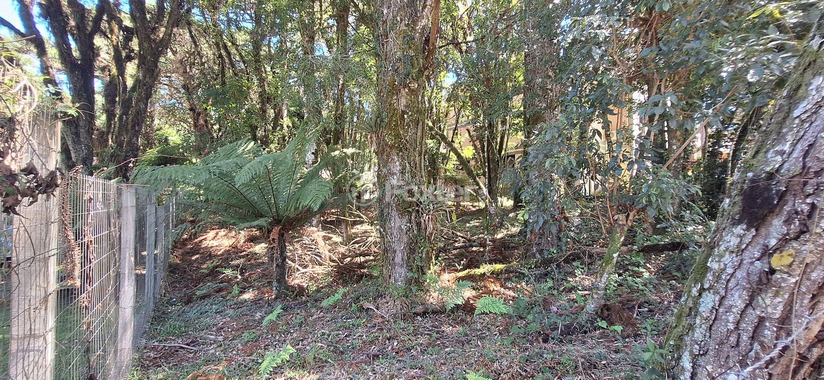 terreno lote condominio para comprar em Irmão Albino Bruneto, s/n - foto 15