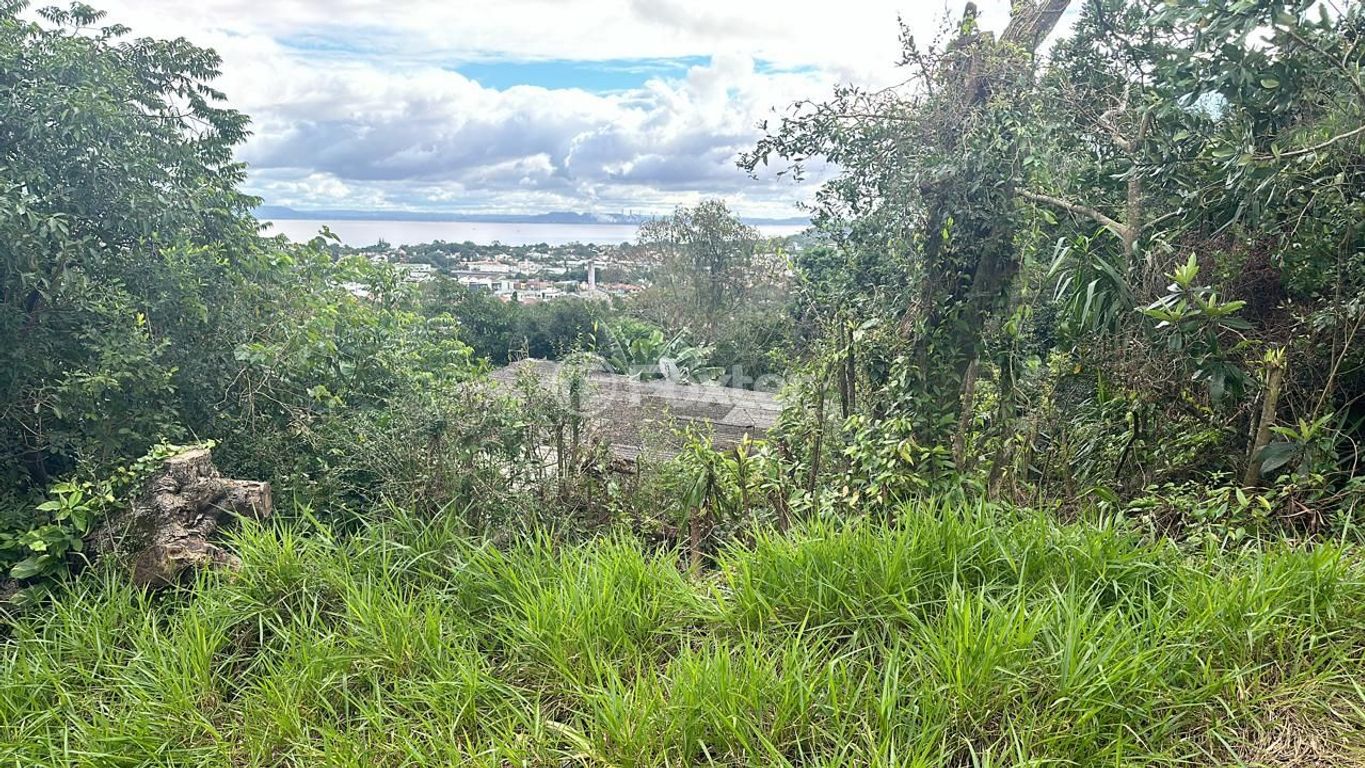 Foto 0