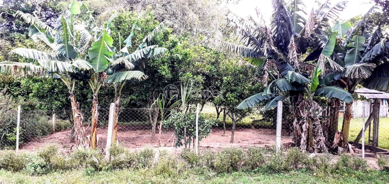 terreno lote condominio para comprar em do Ricardinho, 11040 - foto 7