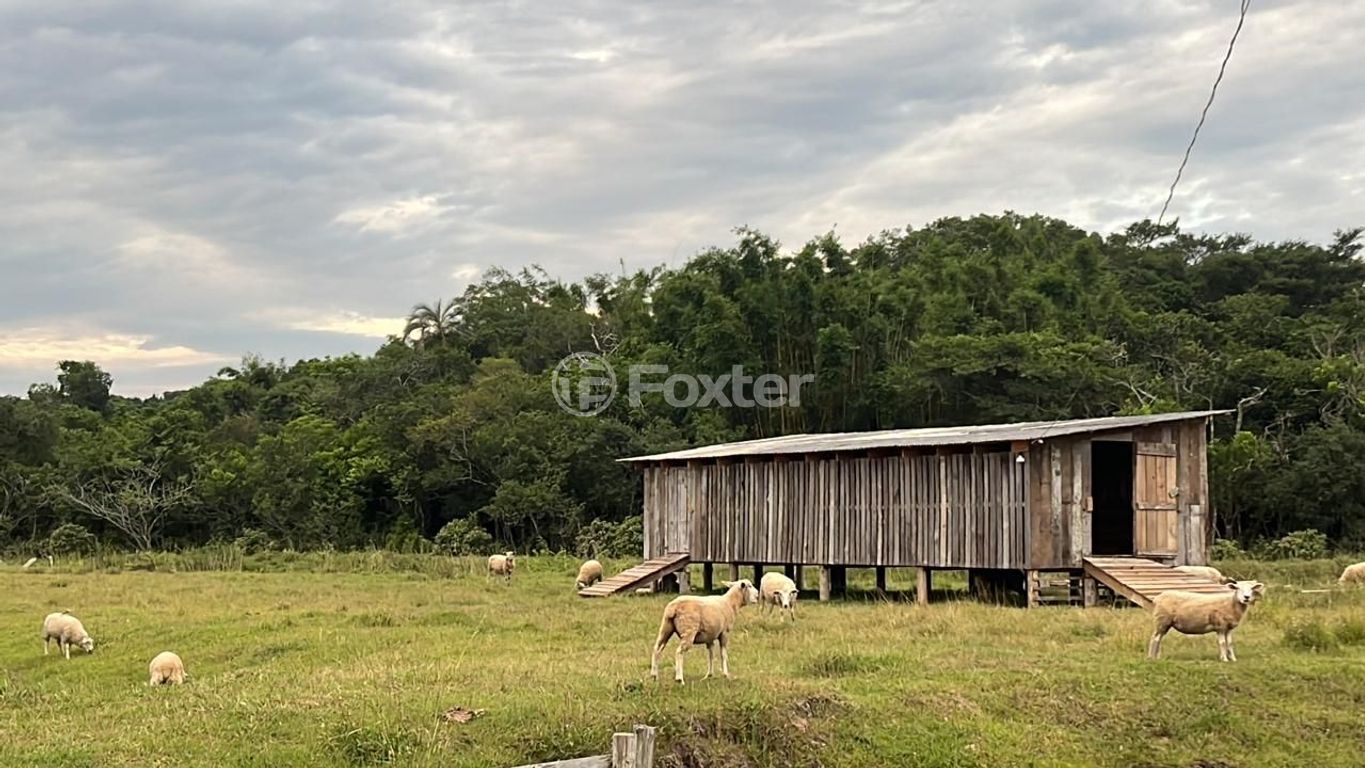 sitio chachara fazenda para comprar em das Laranjeiras, 7206 - foto 9