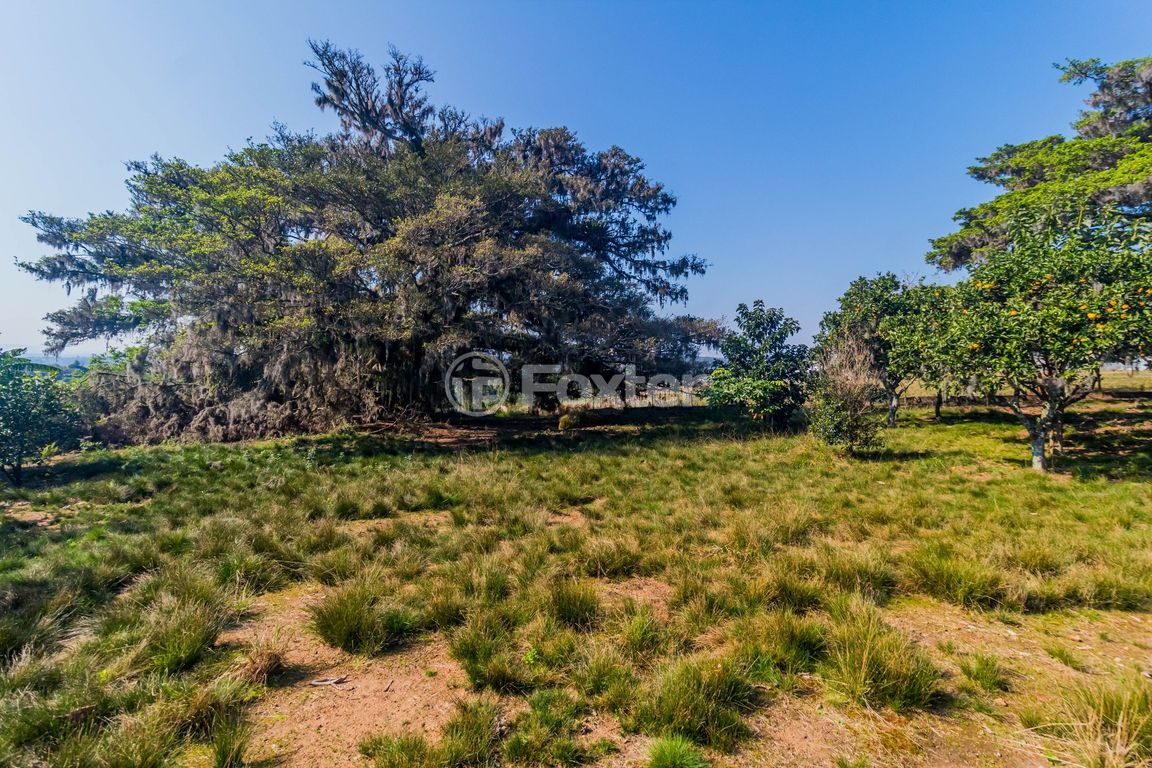 sitio chachara fazenda para comprar em do Cocão, 6000 - foto 17