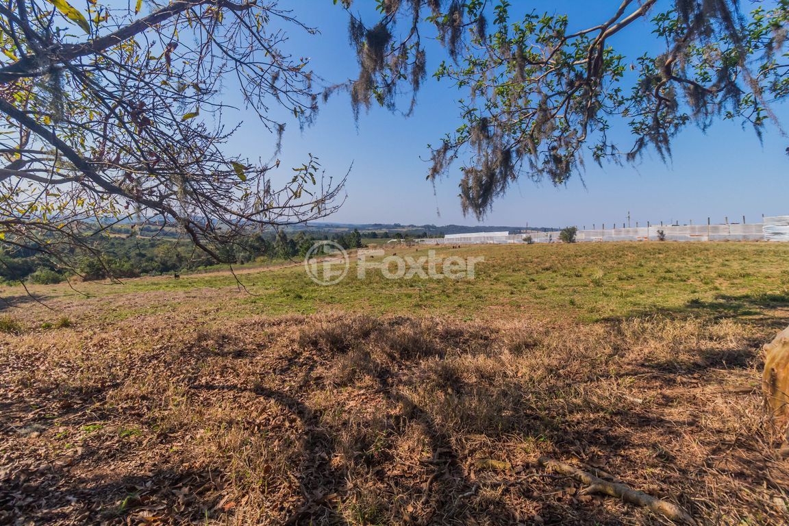 sitio chachara fazenda para comprar em do Cocão, 6000 - foto 18