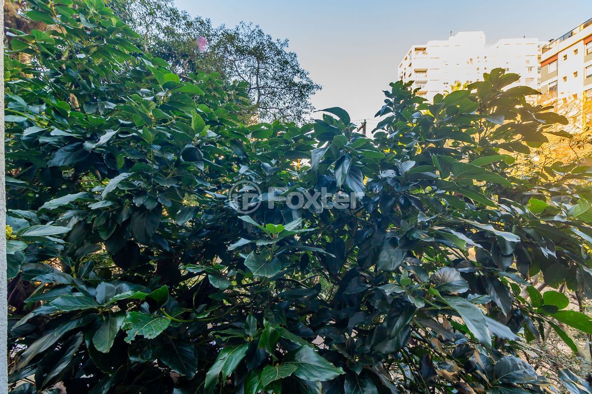Apartamento para comprar em Saldanha Marinho, 282 - foto 14