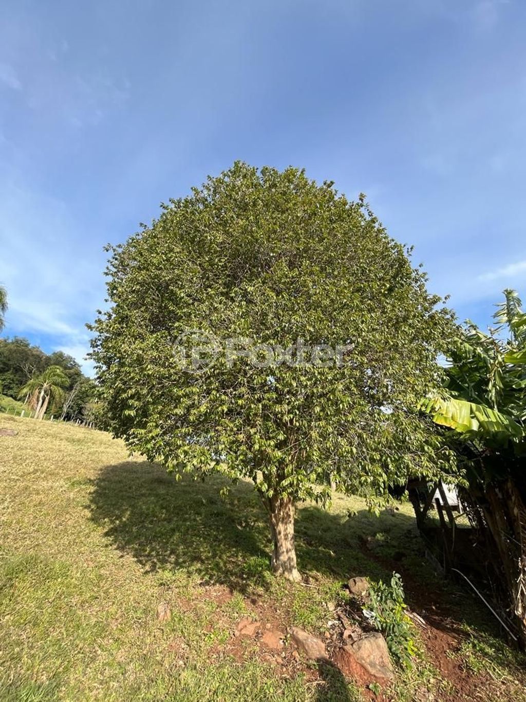 sitio chachara fazenda para comprar em BR-116, KM12 - foto 8