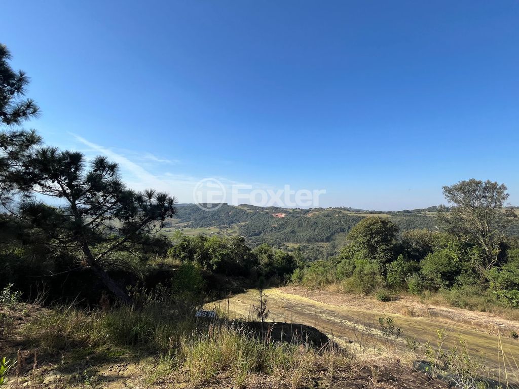 sitio chachara fazenda para comprar em Camilo Nunes Monteiro, 172 - foto 23