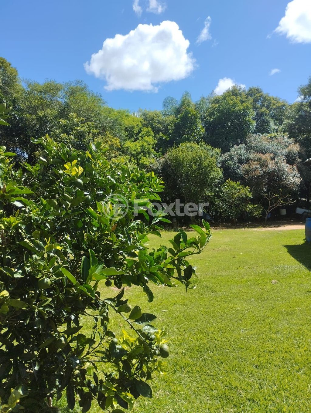 sitio chachara fazenda para comprar em Camilo Nunes Monteiro, 172 - foto 20