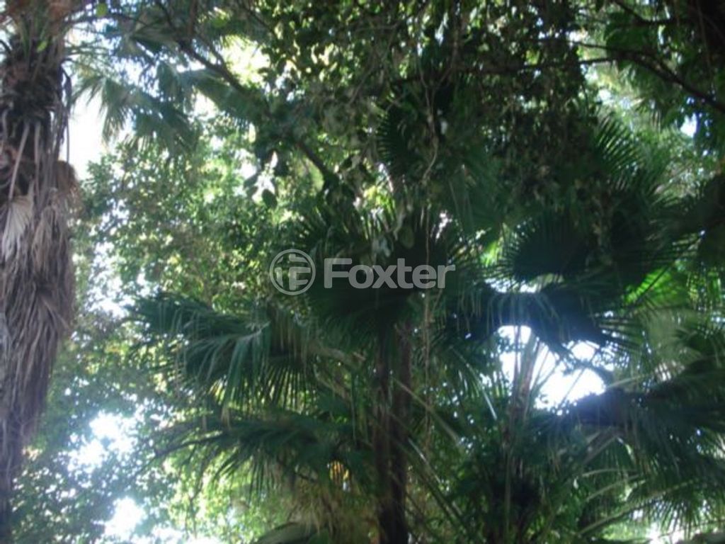 casa sobrado para comprar em São Francisco da Califórnia, 277 - foto 22