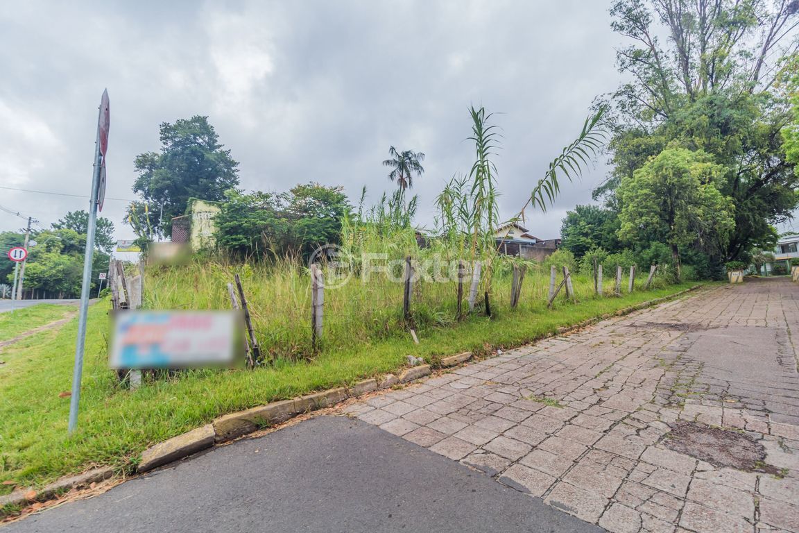 terreno lote condominio para comprar em Zeferino Dias, 482 - foto 6